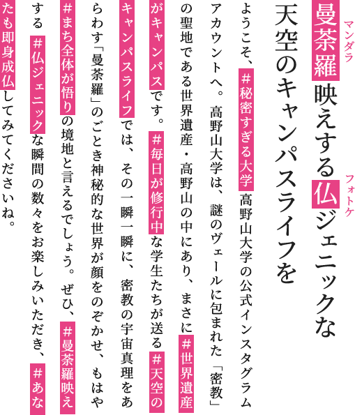曼荼羅映えする仏ジェニックな天空のキャンパスライフを ようこそ、＃秘密すぎる大学 高野山大学の公式インスタグラムアカウントへ。高野山大学は、謎のヴェールに包まれた「密教」の聖地である世界遺産・高野山の中にあり、まさに ＃世界遺産がキャンパスです。＃毎日が修行中な学生たちが送る ＃天空のキャンパスライフでは、その一瞬一瞬に、密教の宇宙真理をあらわす「曼荼羅」のごとき神秘的な世界が顔をのぞかせ、もはや＃まち全体が悟りの境地と言えるでしょう。ぜひ、＃曼荼羅映えする ＃仏ジェニックな瞬間の数々をお楽しみいただき、＃あなたも即身成仏してみてくださいね。