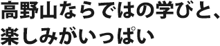 高野山ならではの学びと、楽しみがいっぱい