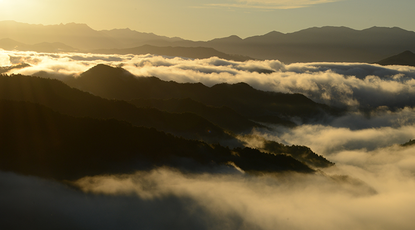 高野山の景色